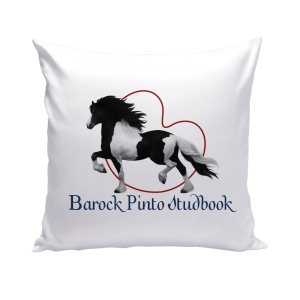 Sierkussen zelf ontwerpen